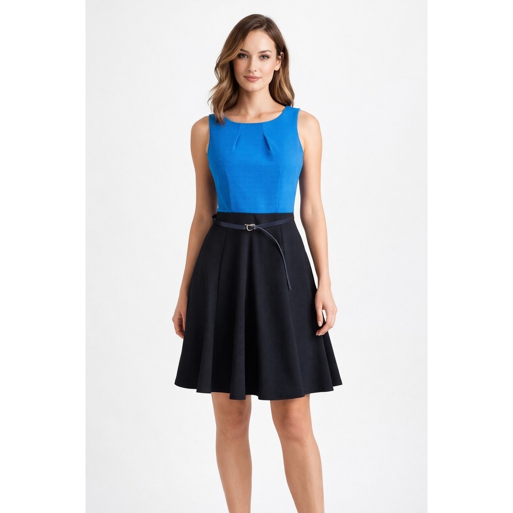 XS - The Limited Blue and Black Sleeveless Fit-and-Flare Dress
